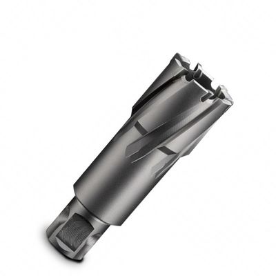 قیمت خوب 50mm عمق برش X 35mm برش Dia TCT برش حلقه ای با شاخه جهانی آنلاین