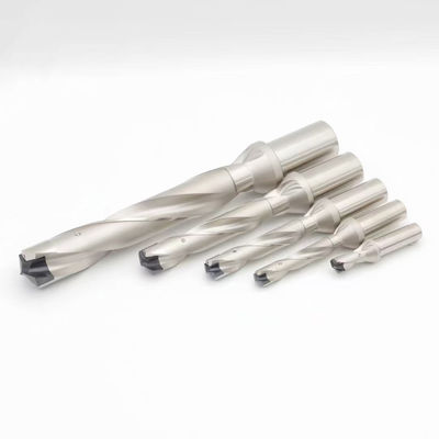 قیمت خوب کاربید سرپل تاج حفاری بِت وولفستم قابل شاخص سازی بِت های حفاری چرخ دنده برای کار فلز آنلاین